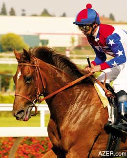 Best Race Horse of the Year - "Azeri"
